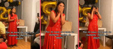 Joven sorprende a su novia al estilo "Medias de abejita" y su reacción es viral: "Yo también quiero" Joven sorprende a su novia al estilo "Medias de abejita" y su reacción es viral: "Yo también quiero"