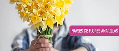 Todos los 21 de septiembre, miles de personas regalas flores amarillas. Frases de FLORES AMARILLAS para regalar: 80 mensajes BONITOS para dedicar a tu pareja HOY