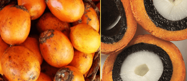 Aprende sobre las bondades de la tukumá. El tukumá: Conoce los beneficios del fruto amazónico con efecto antienvejecimiento