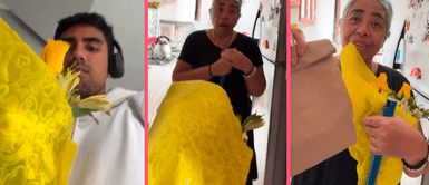 Hijo lleva flores amarillas a su madre y lanza contundente mensaje: "Siempre hay mamá para consentir" Hijo lleva flores amarillas a su madre y lanza contundente mensaje: "Siempre hay mamá para consentir"