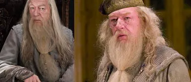 Falleció Michael Gambon a los 82 años, el actor que interpretó a Dumbledore en la saga de "Harry Potter" Muere Michael Gambon a los 82 años, el actor que interpretó a Dumbledore en la saga de "Harry Potter"