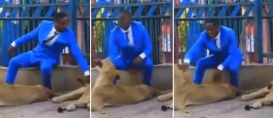 Pastor muestra emotivos momentos con felinos. Milagro o locura: Pastor nigeriano revive pasaje bíblico con leones