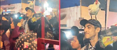 ¿Adiós patitos? Peruano con gallina en la cabeza sorprende con nueva tendencia en Ica ¿Adiós patitos? Peruano con gallina en la cabeza sorprende con nueva tendencia en Ica: "Otro level"