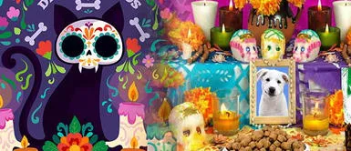 El Día de muertos para las mascotas ya empezó en México Día de muertos de mascotas: cuándo es y cómo poner el altar para los perros y gatos
