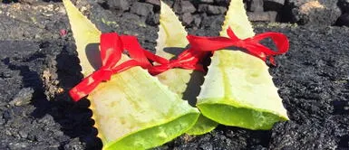 Conoce dónde ubicar la sábila para atraer la fortuna. ¿Por qué colocar sábila en la puerta de la casa? Conoce los puntos donde colocarlo