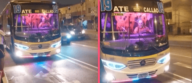 Chofer de la 19 se disfraza del Guasón por Halloween y emociona a pasajeros Chofer de la 19 se disfraza del Guasón por Halloween y emociona a pasajeros: "Aunque no sea mi ruta, me subo"