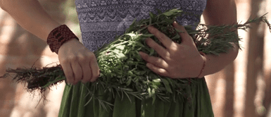 Usa correctamente la ruda para eliminar las malas energías en tu hogar. Aprende a eliminar las energías negativas de tu casa con ruda