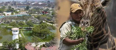 Ha reabierto el Parque de la leyendas de Huachipa Parque de las Leyendas de Huachipa abrió: precio de entradas, horario de atención y cómo llegar