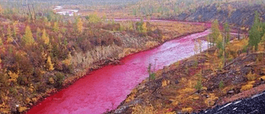 Se cumple profecía bíblica: El Río Nilo se tiñe de rojo y genera pánico mundial Se cumplió profecía bíblica: El Río Nilo se tiñe de rojo y genera PÁNICO mundial
