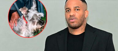 Jefferson Farfán rescata a perrito perdido y fans le agradecen pro su "noble corazón" Jefferson Farfán rescata a perrito perdido y fans le agradecen por su "noble corazón"