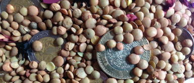 Con este ritual de Navidad podrás empezar bien el 2024. Ritual navideño para atraer la buena energía y la prosperidad