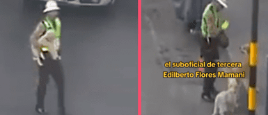 Policía peruano ejemplo de bondad ayuda a perritos callejeros a cruzar la pista: "¡Vale un PERÚ!" Policía peruano ejemplo de bondad ayuda a perritos callejeros a cruzar la pista: "¡Vale un PERÚ!"