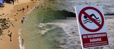 Las 6 playas más contaminadas de México en el 2023 Las 6 playas contaminadas de México que JAMÁS debes visitar: cuidado en tus vacaciones