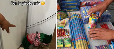 Lima: usuarios indignados por el ataque de ansiedad que sufrió perrito por la pirotecnia de Navidad Lima: usuarios indignados por el ataque de ansiedad que sufrió perrito por la pirotecnia de Navidad