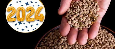 ¿Qué significa tirar lentejas en Año Nuevo? El ritual que debes hacer para la prosperidad y abundancia ¿Qué significa tirar lentejas en Año Nuevo? El ritual que debes hacer para la prosperidad y abundancia