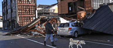Esta es la historia de la perrita que ayudó a anciana. Perrito valiente salva a anciana atrapada en casa tras terremoto en Japón