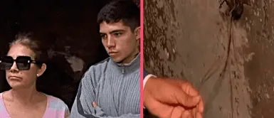 Surquillo: ¡Insólito! Joven dejó cargando su celular sin imaginar que ocasionaría incendio Surquillo: ¡Insólito! Joven dejó cargando su celular sin imaginar que ocasionaría incendio