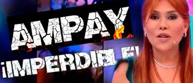 Magaly Medina sorprende con adelanto de su esperado 'ampay' Magaly Medina sorprende con adelanto de su esperado 'ampay'