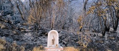 Imagen de la Virgen quedó intacta tras devastador incendio que acabó con todo alrededor ¿Milagro? Imagen de la Virgen quedó intacta tras devastador incendio que acabó con todo alrededor