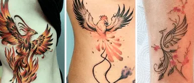 ¿Qué SIGNIFICA el TATUAJE DEL AVE FÉNIX y por qué las personas se lo TATÚAN? ¿Qué SIGNIFICA el TATUAJE DEL AVE FÉNIX y por qué las personas se lo TATÚAN?