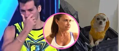 Emotivo mensaje de Verónica Acosta tras la pérdida de su fiel compañera. Verónica Acosta, madre de Patricio Parodi, comparte el emotivo motivo detrás del fallecimiento de su perrita