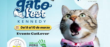 El "GATOFEST" contará con diversas actividades para involucrar a la comunidad y recaudar fondos. Gatofest 2024: Maratónica teletón para beneficiar a los gatitos del parque Kennedy
