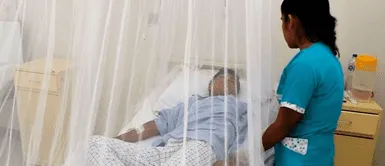 Conoce cómo cuidarte del dengue. Dengue: ¿Cuáles son sus síntomas y cómo evitar esta enfermedad?