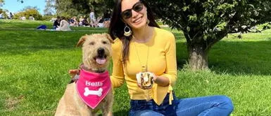 UNI: ingeniera crea la única ONG que se dedica a la esterilización de perros y gatos UNI: ingeniera crea la única ONG que se dedica a la esterilización de perros y gatos