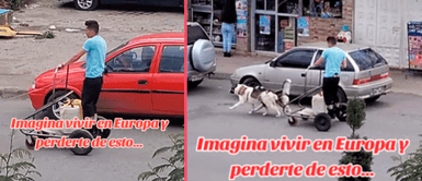Captan a hombre a bordo de un trineo de perros y causa conmoción: "¿Eres tú Ben Hur?" Captan a hombre a bordo de un trineo de perros y causa conmoción: "¿Eres tú Ben Hur?"