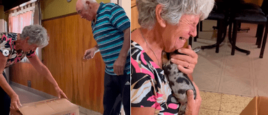 Ancianos perdieron a su perro durante las vacaciones; pero recibieron sorpresa que los hizo emocionar Ancianos perdieron a su perro durante las vacaciones; pero recibieron sorpresa que los hizo emocionar
