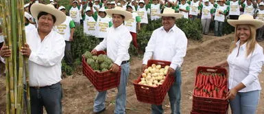 ¿Qué metodo utilizaron los hermanos Oviedo para convertirse en una de las familias más ricas del Perú? ¿Qué metodo utilizaron los hermanos Oviedo para convertirse en una de las familias más ricas del Perú?