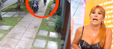 Magaly Medina expone IMÁGENES del preciso instante en el que le roban a Gisela Valcárcel Magaly Medina expone IMÁGENES del preciso instante en el que le roban a Gisela Valcárcel