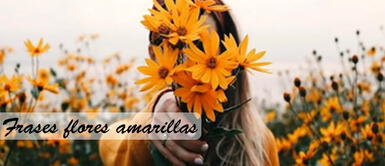 En México se entrega el 21 de marzo flores amarillas ▷ Frases de FLORES AMARILLAS : 150 mensajes BONITOS y AMOROSOS para enviar a tu ser amado