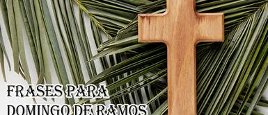 Las mejores frases para celebrar Domingo de Ramos 2024 Frases para Domingo de Ramos 2024: 70 mensajes BONITOS y reflexivos para dedicar