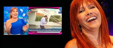 Magaly Medina se burla de reportero de Canal N que cayó en piscina EN VIVO Magaly Medina se burla de reportero de Canal N que cayó en piscina EN VIVO