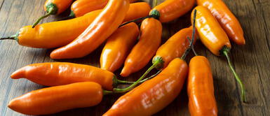 ¿Dónde comprar ají amarillo en Estados Unidos? ¿Dónde comprar ají amarillo en Estados Unidos?