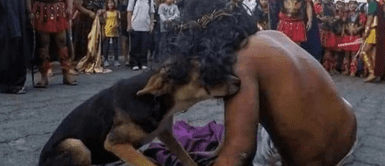 Perrito ‘consuela’ a hombre que interpretaba a Jesús durante el Vía Crucis Conmovedora escena: perrito reconforta a hombre que representa a Jesús en Vía Crucis