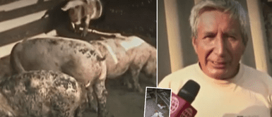 Este es el extraño caso del SER que caza a los animales de ATE y les quita la sangre Este es el extraño caso del SER que caza a los animales de ATE y les quita la sangre