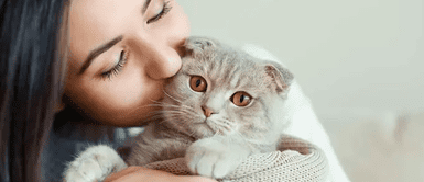 ¡Dulce empleo! Empresa ofrece 10.000 dólares por abrazar gatitos ¡Dulce empleo! Empresa ofrece 10.000 dólares por abrazar gatitos