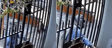 Joven LANZÓ SU MORRAL a casa de Comas para evitar ASALTO sin IMAGINAR que MARCAS DISPARARÍAN en vengaza Joven LANZÓ SU MORRAL a casa de Comas para evitar ASALTO sin IMAGINAR que MARCAS DISPARARÍAN en venganza