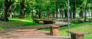 Pareja es captada teniendo relaciones sexuales en parque y policías los agarran a palazos ¡Insólito! Pareja es captada teniendo relaciones en parque y policías los agarran a palazos