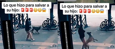 CÁMARAS DE SEGURIDAD captan MORTAL PELEA entre madre y perro para salvar la VIDA de su hijo CÁMARAS DE SEGURIDAD captan MORTAL PELEA entre madre y perro para salvar la VIDA de su hijo