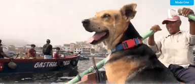 "Vaguito" se estrena este 18 de abril en las salas locales. Vaguito: la historia del perrito que espera a su dueño en la orilla y que ahora llega al cine