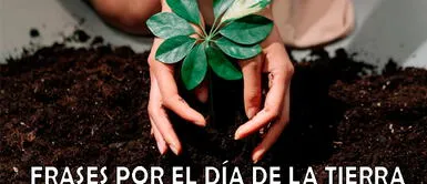 Las mejores frases por el Día de la Tierra para celebrar a nuestro planeta Día de la Tierra: 70 frases para REFLEXIONAR y CONCIENTIZAR sobre el cuidado de nuestro planeta
