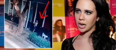 Lucía Oxenford es agredida por mujer tras defender a un perrito: “Me insultó y me pegó” Lucía Oxenford es agredida por mujer tras defender a un perrito malherido