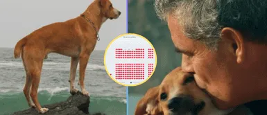 Conoce todos los detalles de 'Vaguito'. 'Vaguito' supera a 'Chabuca': Del fracaso al ÉXITO nacional en un giro SORPREDENTE