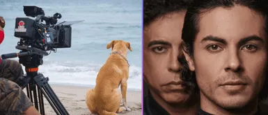 'Vaguito' supera a 'Chabuca' gracias a usuarios. 'Vaguito' gana TERRENO sobre 'Chabuca': El resurgimiento tras un estreno decepcionante