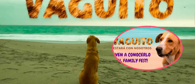 ¡Conoce a 'Vaguito'! Mira cómo visitar al perrito estrella de cine peruano ¡Conoce a 'Vaguito'! Tú también puedes visitar al perrito estrella de cine peruano: mira todos los detalles AQUÍ