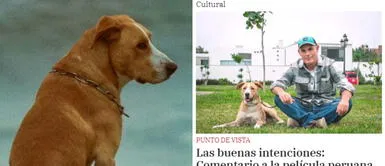 Periodista desata polémica tras dura crítica a la actuación del perro 'Vaguito' Periodista desata polémica tras dura CRÍTICA a la actuación del PERRO 'Vaguito': “No ladra al nivel”