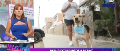 Magaly Medina conmovida con la historia de 'Vaguito' y anuncia importante evento Magaly Medina conmovida con la historia de 'Vaguito' y anuncia importante evento